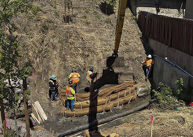 Courtland Creek Restoration