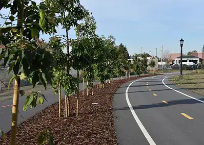 City of Alameda Jean Sweeney Park