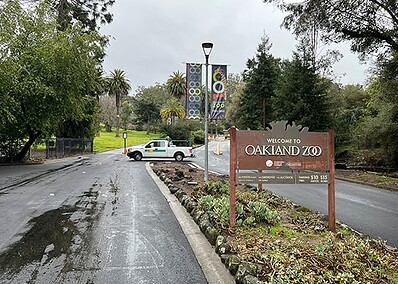 Oakland Zoo Emergency Project