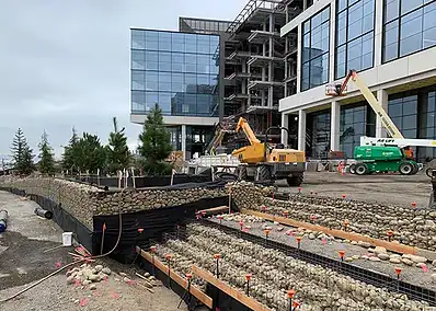 San Francisco Oyster Point