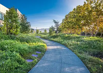 Park Point Landscape