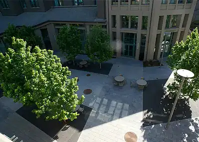 UCB Haas Courtyard